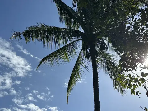 53-4214-A Akoni Pule Highway Kapaau HI 96755