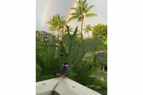 75-5919 Alii Drive Kailua-kona HI 96740