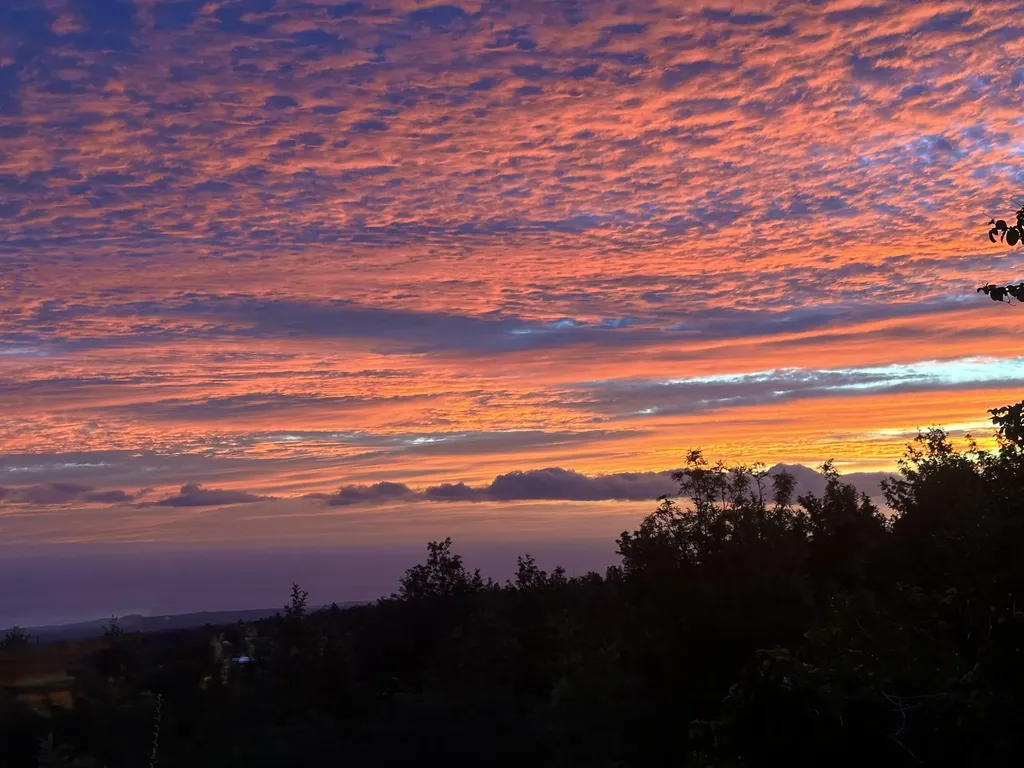 92-8233 Reef Parkway Ocean View HI 96737