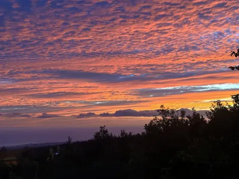 92-8233 Reef Parkway Ocean View HI 96737