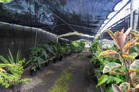 16-150 Ainaloa Boulevard Kurtistown HI 96760