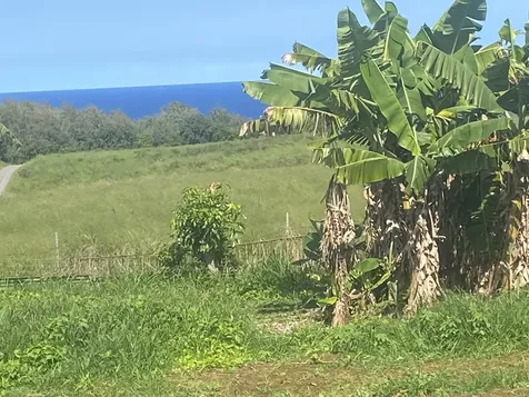 53-4255 Akoni Pule Highway Kapaau HI 96755