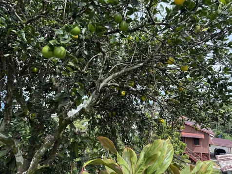 37 Mehau Lane Hilo HI 96720