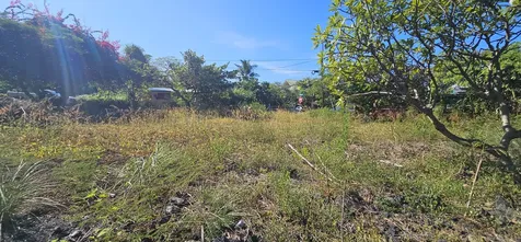 Manini Beach Road Captain Cook HI 96704