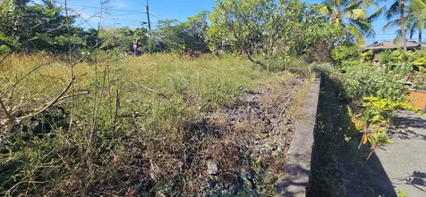 Manini Beach Road Captain Cook HI 96704