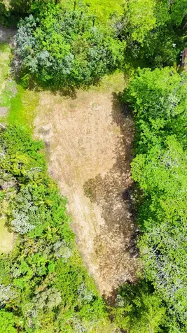 15-2038 16th Avenue Keaau HI 96749