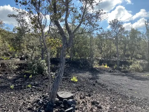 92-9032 Tiki Lane Ocean View HI 96737