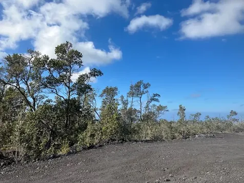 92-9032 Tiki Lane Ocean View HI 96737