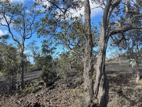 92-9032 Tiki Lane Ocean View HI 96737