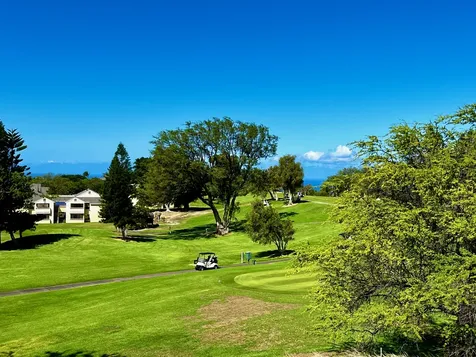 68-3868 Paniolo Avenue Waikoloa HI 96738