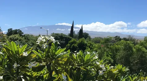 68-3868 Paniolo Avenue Waikoloa HI 96738