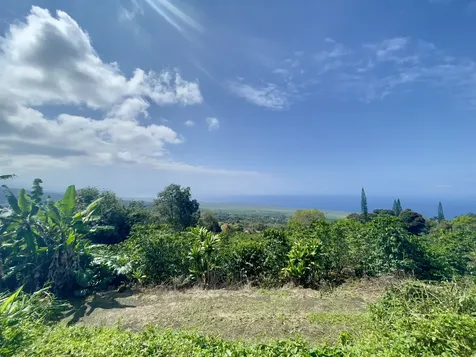 83-5586 Hawaii Belt Road Captain Cook HI 96704