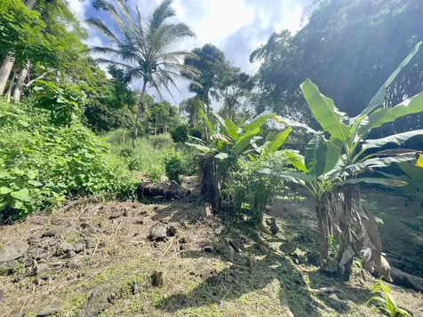 83-5586 Hawaii Belt Road Captain Cook HI 96704