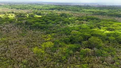 13-1368 Launahele Road Pahoa HI 96778