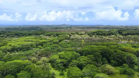 13-1368 Launahele Road Pahoa HI 96778