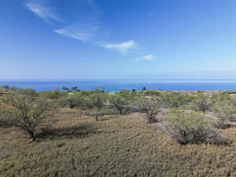 59-424 Palila Place Kamuela HI 96743