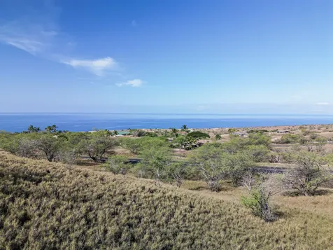 59-424 Palila Place Kamuela HI 96743