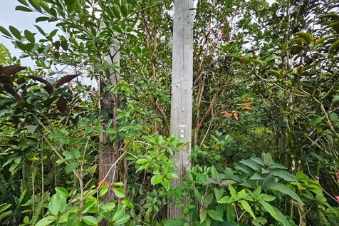 4TH Avenue Keaau HI 96749