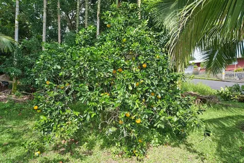 1594 Kaunala Place Hilo HI 96720