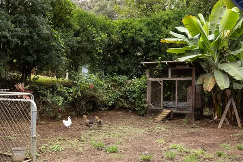 45-1006 Kalehua Road Honokaa HI 96727