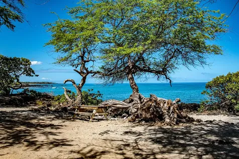 69-1931 Puako Beach Drive Kamuela HI 96743