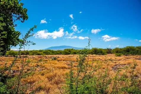 69-1931 Puako Beach Drive Kamuela HI 96743