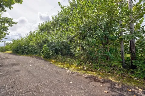 8TH Avenue Keaau HI 96749