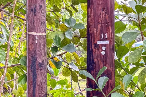 8TH Avenue Keaau HI 96749