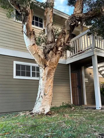 68-3883 Lua Kula Street Waikoloa HI 96738