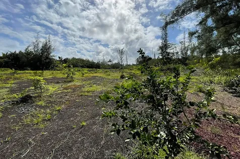 15-916 Paradise Ala Kai Drive Keaau HI 96749