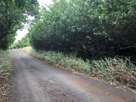 51 Palaoa Road Naalehu HI 96772