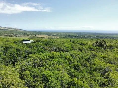 51 Palaoa Road Naalehu HI 96772