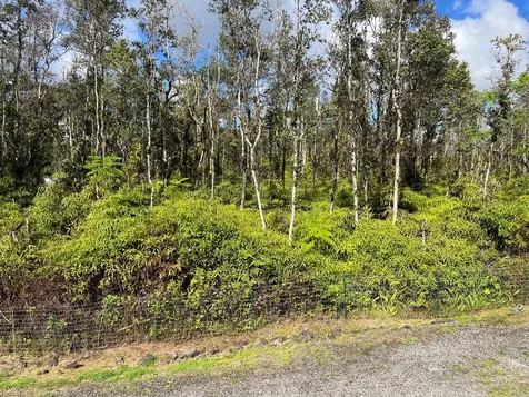 14-3475 Tutu Road Pahoa HI 96778