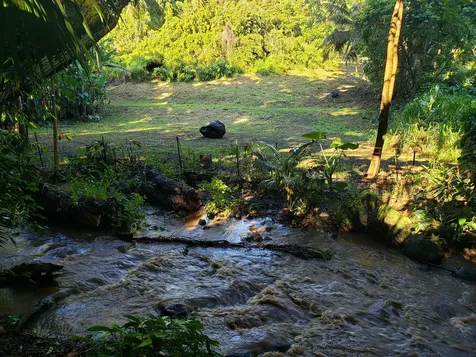 53-364 Kapanaia Road Kapaau HI 96755