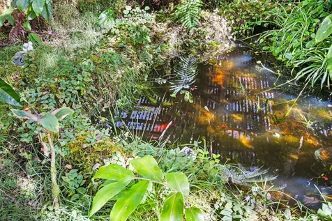 11-3895 5th Street Volcano HI 96785