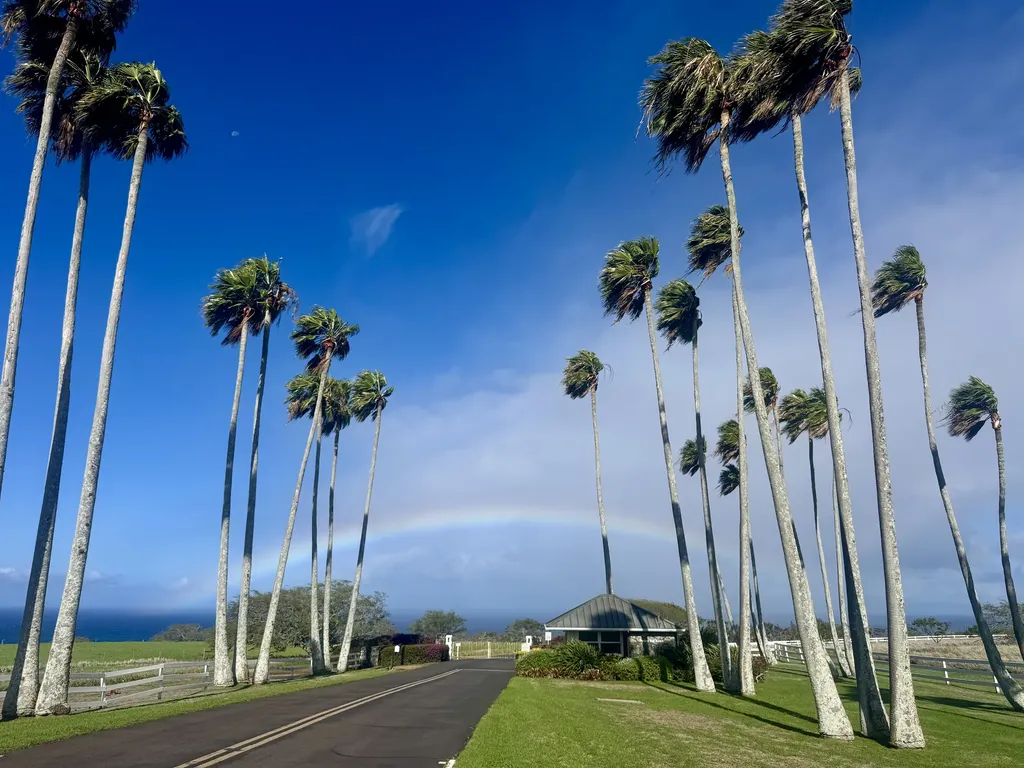 56-2891 Haleakala View Place Hawi HI 96719