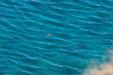 56-2891 Haleakala View Place Hawi HI 96719