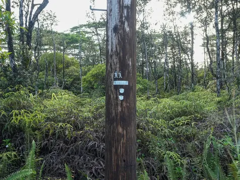 8TH Avenue Keaau HI 96749