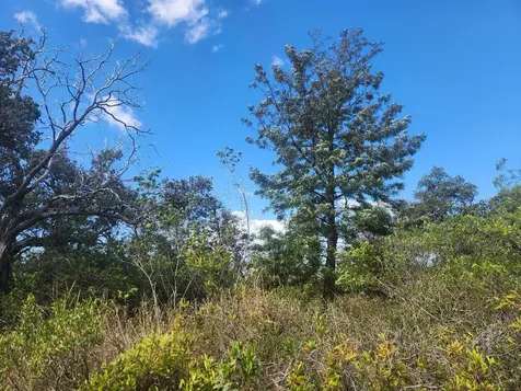 92 King Kamehameha Boulevard Ocean View HI 96737