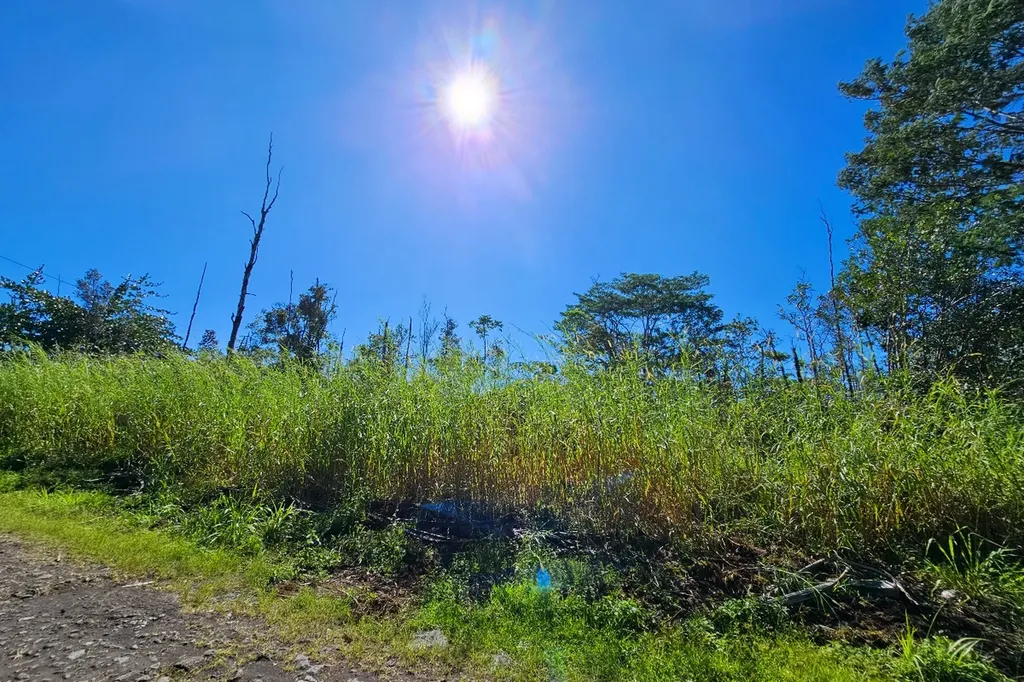 16-1920 36th Avenue Kurtistown HI 96760