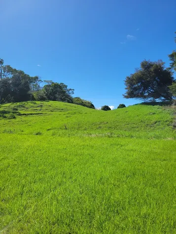 64-5109 White Road Kamuela HI 96743