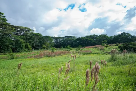 681 Hoaka Road Hilo HI 96720