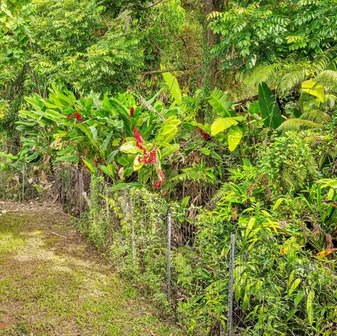 529-A Wainaku Street Hilo HI 96720