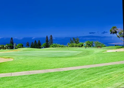 68-1761 Waikoloa Village Waikoloa HI 96738