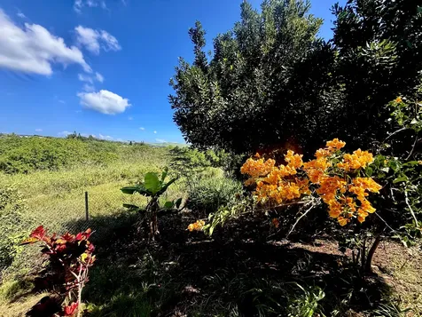 94-1726 Wakea Avenue Naalehu HI 96772