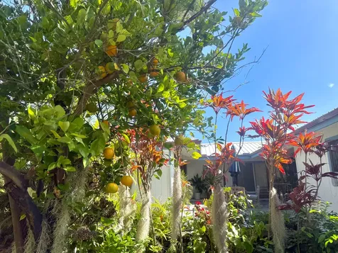 94-1726 Wakea Avenue Naalehu HI 96772