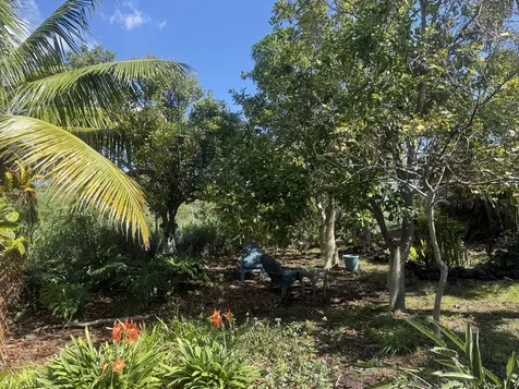 94-1726 Wakea Avenue Naalehu HI 96772