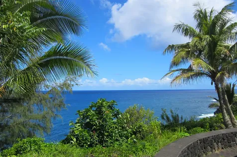 12-211 Oliana Drive Pahoa HI 96778