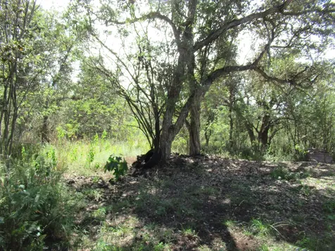 92-1780 Sea Breeze Parkway Ocean View HI 96737