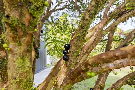 11-1860 Mahina Street Mountain View HI 96771